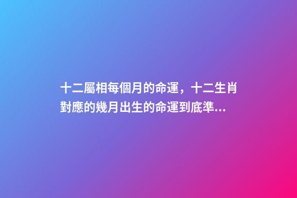 十二屬相每個月的命運，十二生肖對應的幾月出生的命運到底準不準？ 屬兔人出生月的命運屬兔每個月出生詳解-第1張-觀點-玄機派